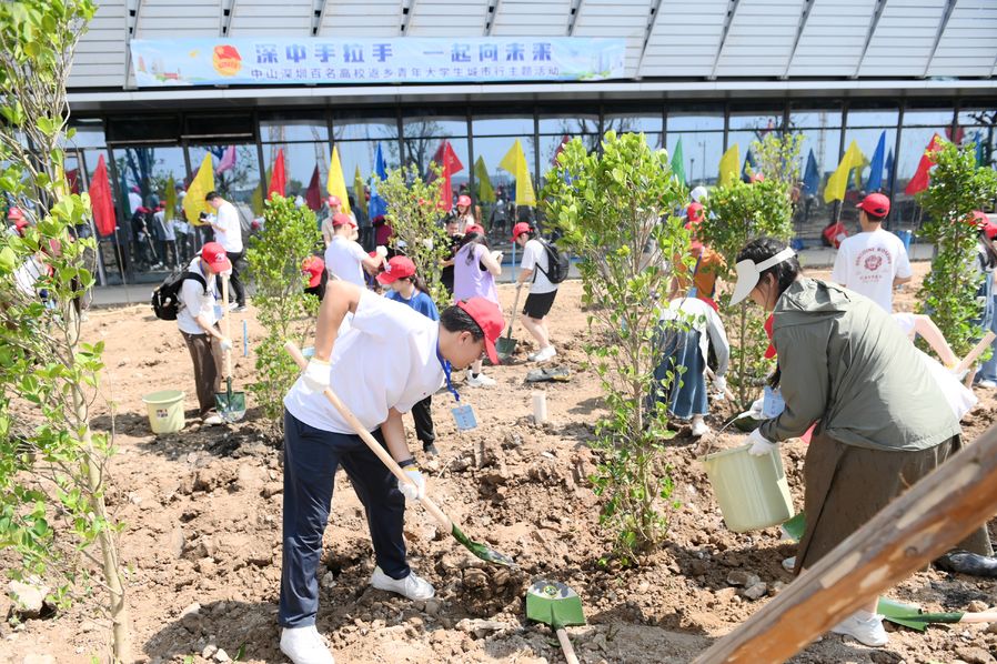 1. 两地返乡青年团在新中山客运码头联检大楼广场植树区域共植中深“绿美青年林”1.jpeg